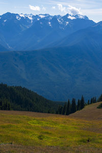 Scenic view of landscape and mountains against sky