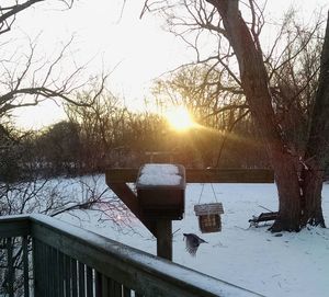 Scenic view of snow covered landscape