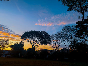 Silhouette trees on field against sky during sunset