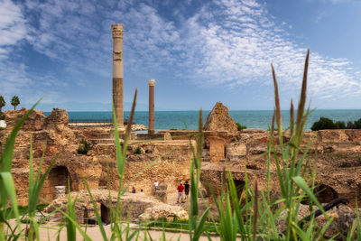 Plants growing on sea shore against sky
