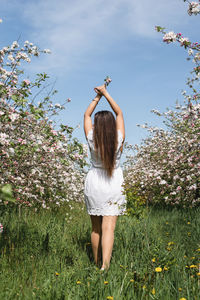 Rear view of woman standing against plants