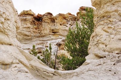 Low angle view of rock formation