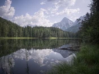 Scenic view of lake amidst trees in forest against sky