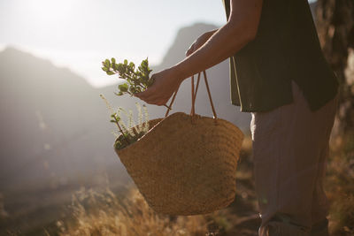 Midsection of woman holding plant on field