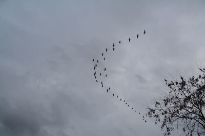 Low angle view of silhouette birds flying in cloudy sky