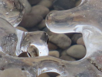 Close-up of water in container