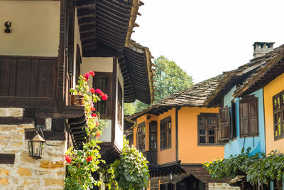 Low angle view of flowering plants and buildings against sky