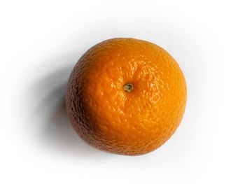 High angle view of orange on white background