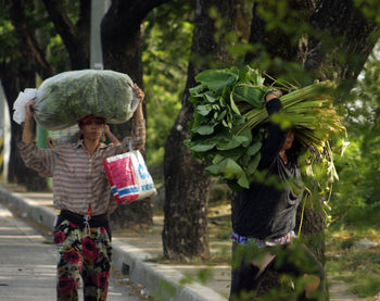 Rear view of people walking in basket on tree