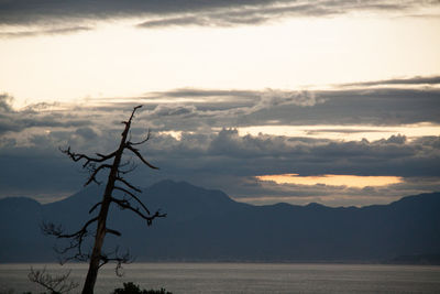 Scenic view of landscape against sky during sunset