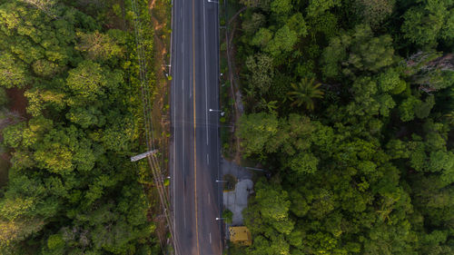 Aerial view car drive going through forest, aerial top view forest,