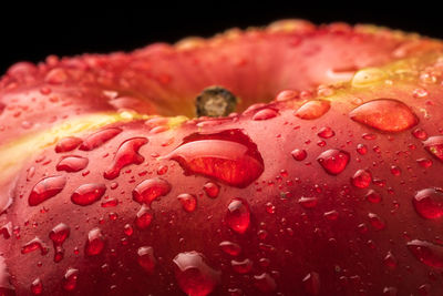 Close-up of water drops on glass