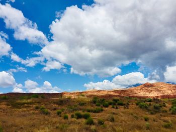 Scenic view of field against sky