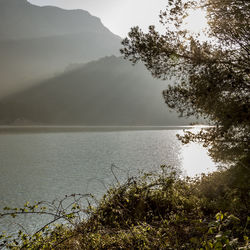 Scenic view of lake by trees against sky