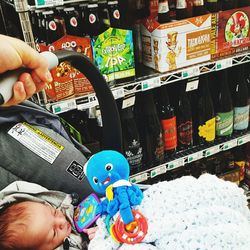 Close-up of food in the sea