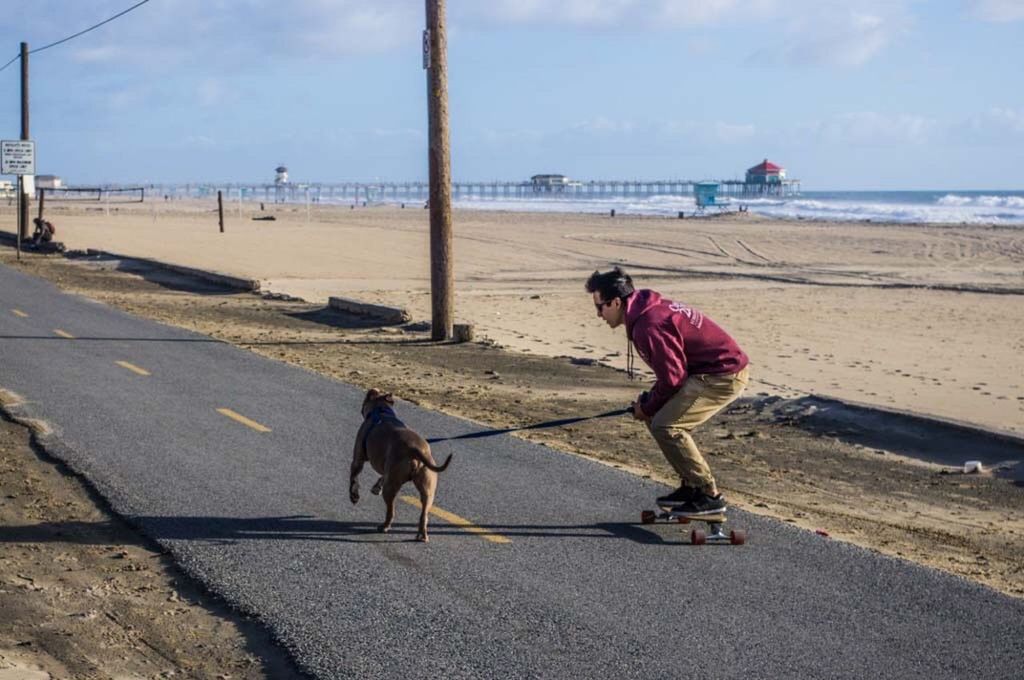 one animal, domestic animals, dog, pets, real people, leisure activity, two people, day, outdoors, mammal, beach, full length, men, people, adult