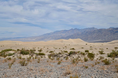 Scenic view of desert against sky