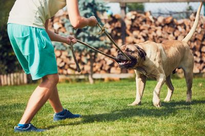 Low section of young man playing with dog at yard