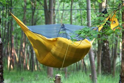 Nature camping in denmark. vestamager nature area.