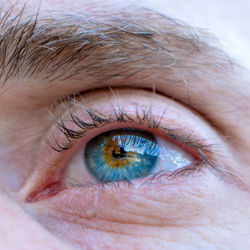 Close-up portrait of human eye