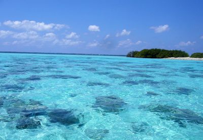 Scenic view of sea against blue sky