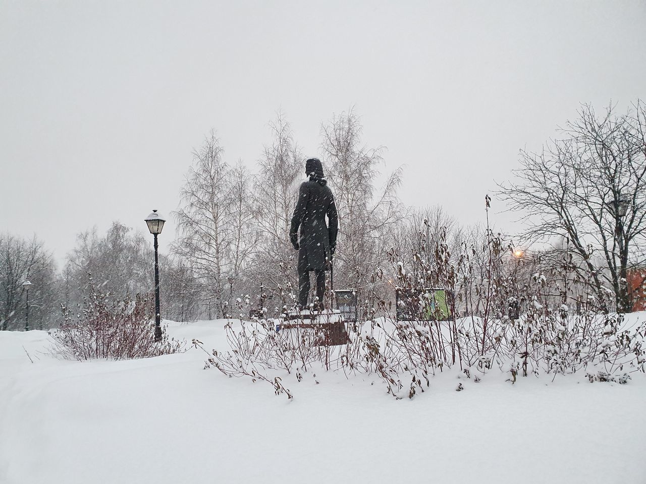 REAR VIEW OF MAN ON SNOW COVERED LAND