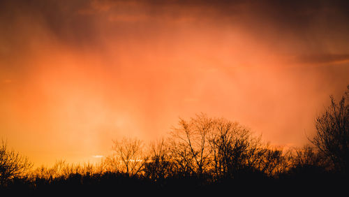 Silhouette trees against sky during sunset