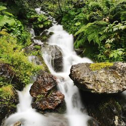 Scenic view of waterfall