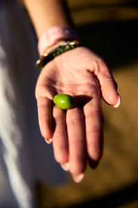 Cropped hand holding green olive