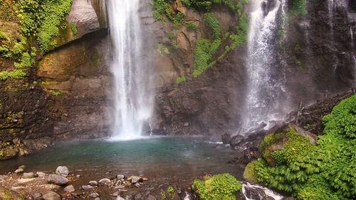 View of waterfall in forest