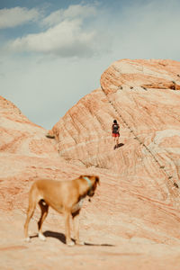 Hiker in red shorts walks with dog down red rock petrified dunes