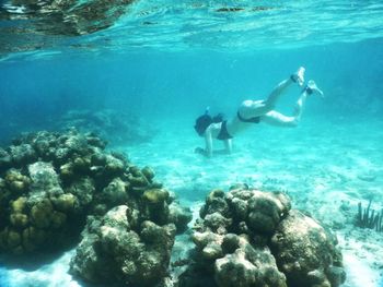People swimming in sea