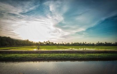 Person riding bicycle amidst field against sky