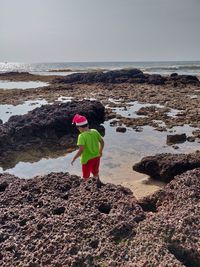 Rear view of boy on rock at beach against sky