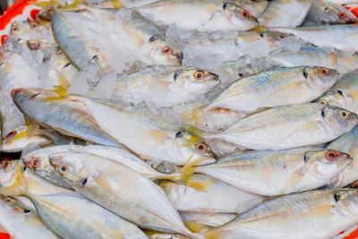 Full frame shot of fish for sale