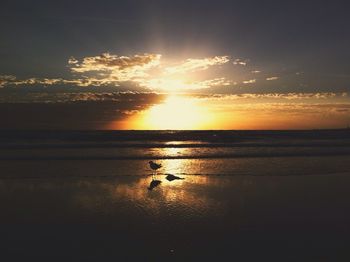 Scenic view of sea at sunset