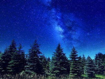 Low angle view of stars in sky