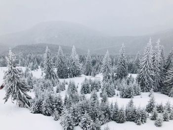 Scenic view of snow covered mountains against sky