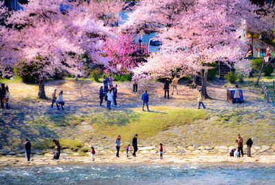 People in park