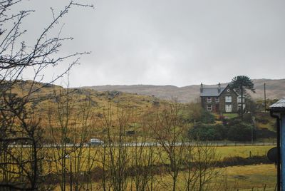 Trees and houses on field against sky