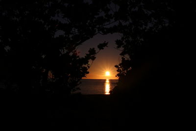 Silhouette trees by sea against sky during sunset