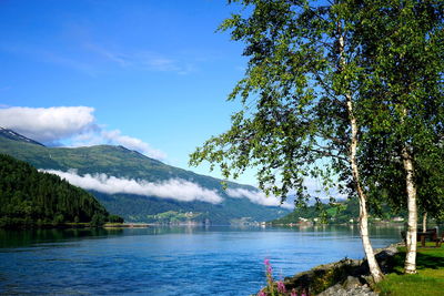 Scenic view of lake against blue sky