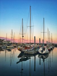 Sailboats moored in harbor at sunset