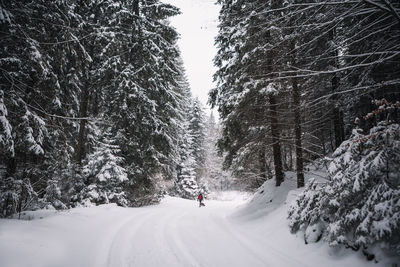 Man on snow covered trees against sky