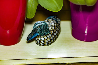 Close-up of artificial duck amidst potted plants on table at home