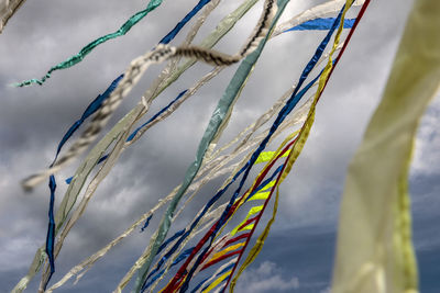 Close-up of stalks against sky
