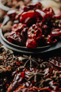 Close-up of spices