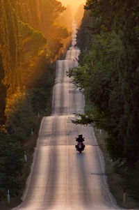 Road amidst trees against sky