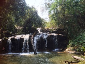 Scenic view of waterfall in forest