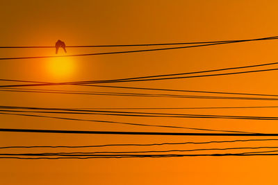 Low angle view of silhouette birds facing talk against orange sky